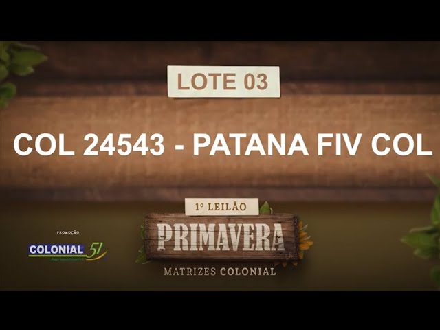 LOTE 03   COL 24543