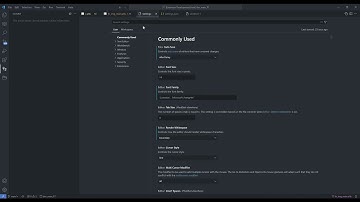 vscode-ahk-NekoHelp signature style option