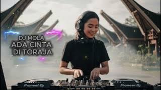 ADA CINTA DI TORAJA | DJ MOLA | REMIX LAGU TORAJA