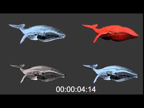 PolyAquatic Whale Animation Cycle