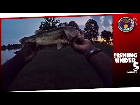 pulled-a-big-bass-from-brahan-spring-park?-doing-the-impossible!-(huntsville,-al)---fishing-under-5