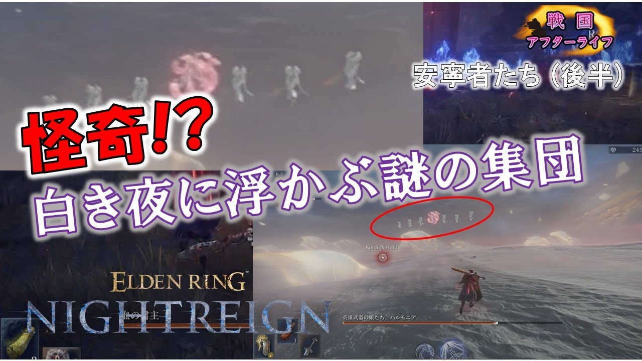 [NIGHT REIGN] vs安寧者たち! 最大の敵はカメラ外!? 整列してるのは綺麗ですね