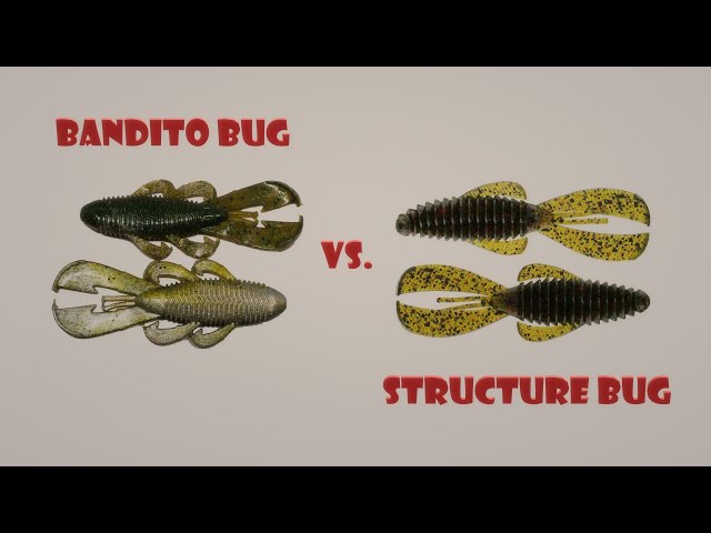 Googan Baits Bandito Bug vs. StrikeKing Rage Bug