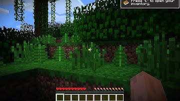 How to download Too Many Items mod for minecraft 1.2.5