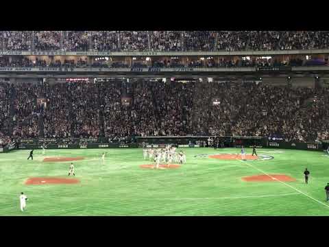 プレミア12 優勝決定の瞬間　山崎康晃
