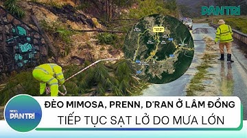 Đèo Mimosa, Prenn, D