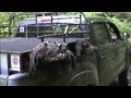 Western North Carolina Bear Training season Western North Carolina Bear Training season