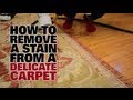 How To Remove a Stain From a Delicate Carpet - Dupray Steam Cleaners