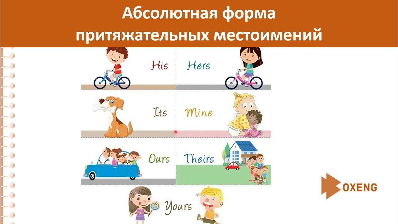Притяжательные местоимения в английском множественное число