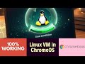 I Installed Linux on My Chromebook
