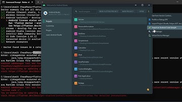 Flutter Installation  | flutter doctor --android-licenses solved | Fixing Flutter Installation