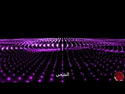 اغنية احكي لكم أسرار هجره في قلبي نار غنائي