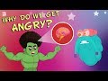 Why Do We Get Angry? | The Dr. Binocs Show | Best Learning Videos For Kids | Peekaboo Kidz