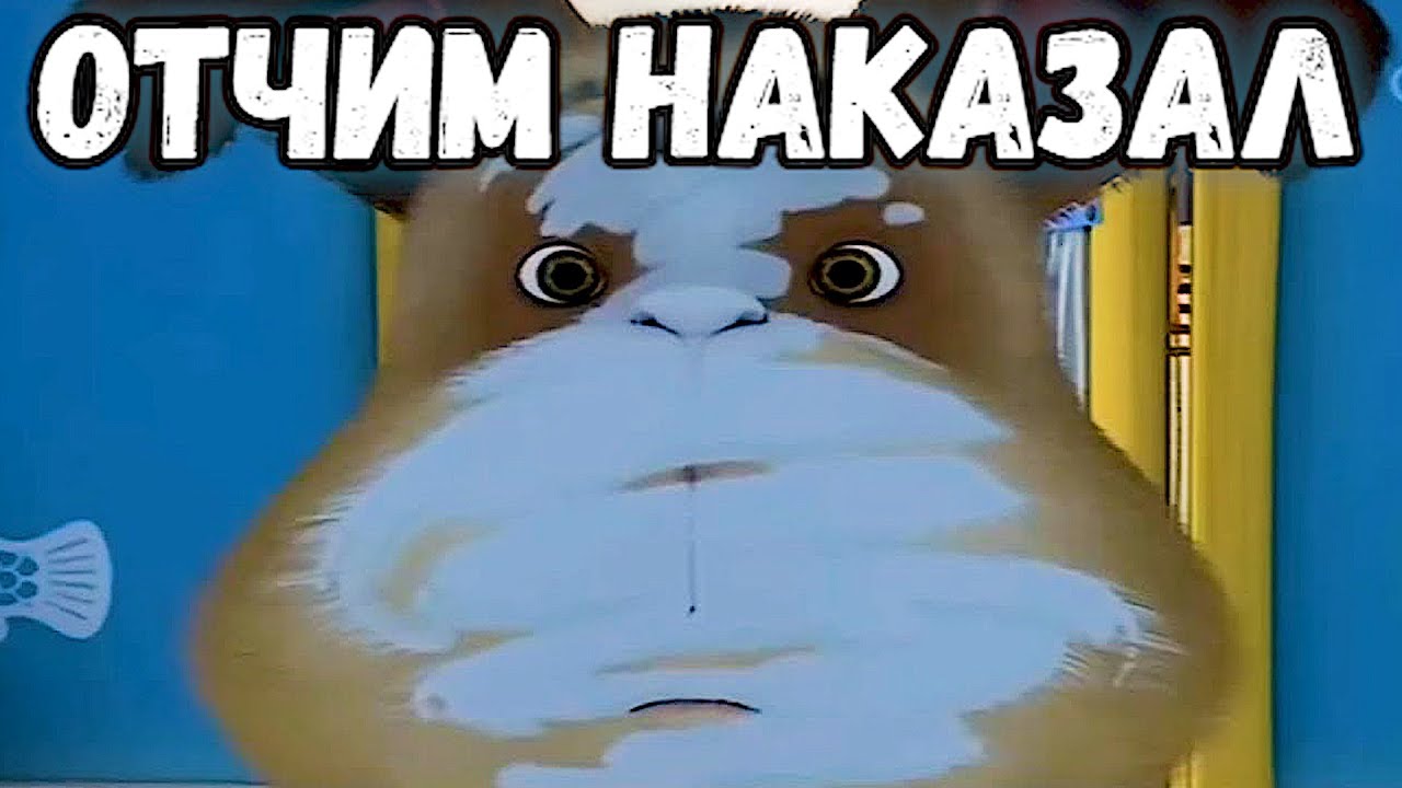 САМЫЕ СМЕШНЫЕ ВИДЕО ЗА ВСЁ ВРЕМЯ #7