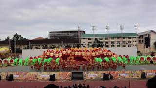 Sinulog sa Lalawigan 2019: Tribu Malipayon of Consolacion, Cebu