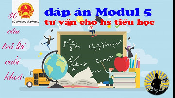 đáp án module 5 tiểu học đầy đủ.