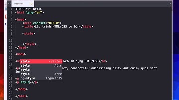 18 - Định dạng CSS qua thẻ style