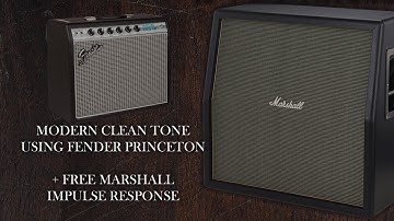 MODERN and WARM Clean Tone w/ the Fender Princess (Princeton) | Line6 Helix/HX Stomp [FREE IR]