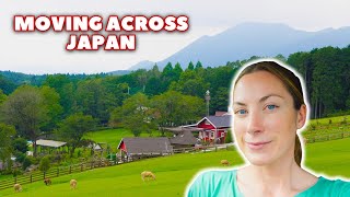 ROADTRIP ACROSS JAPAN!! Family and dog-friendly Airbnb&#39;s, rest stops, and things to do | Moving Ep 4
