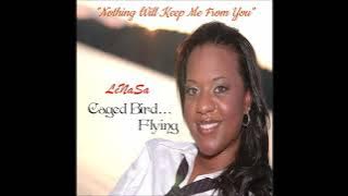 Nothing Will Keep Me From You - LeNaSa aka Lady Harmony