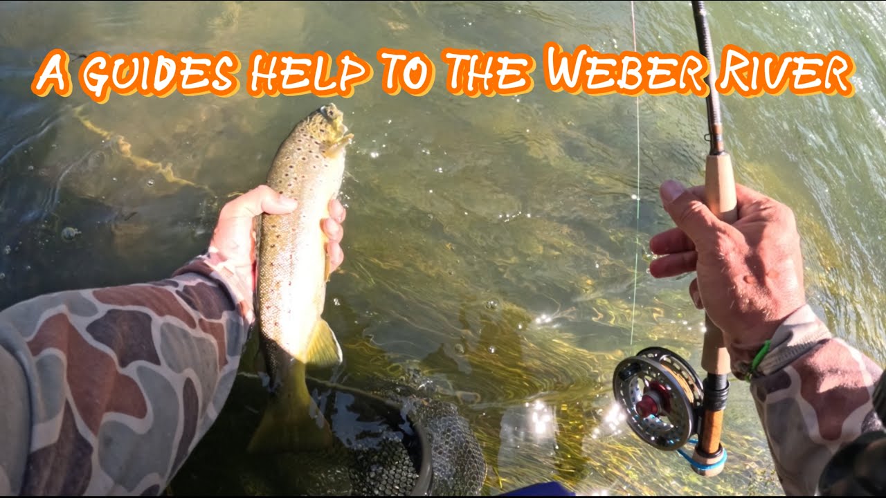 A GUIDES HELP TO THE WEBER RIVER