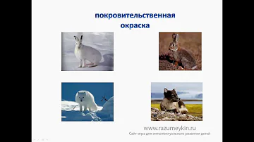 Покровительственная окраска - Сайт-игра Разумейкин