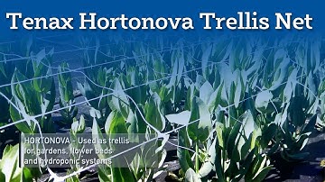 Tenax Hortonova Trellis Net