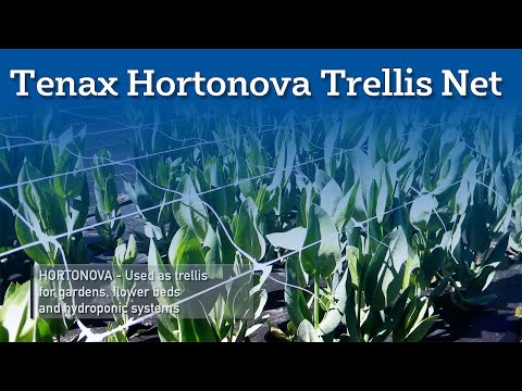 Tenax Hortonova Trellis