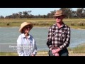 Farm Dam Blitz - making wildlife welcome