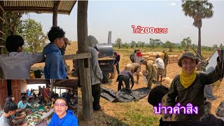 ปั่นข้าวช่วยบ่าวคำสิงกับน้องเปาะรวมกันได้200กว่ากระสอบ|ປັ່ນເຂົ້າຊ່ອຍບ່າວຄຳສິງກັບນ້ອງເປາະ