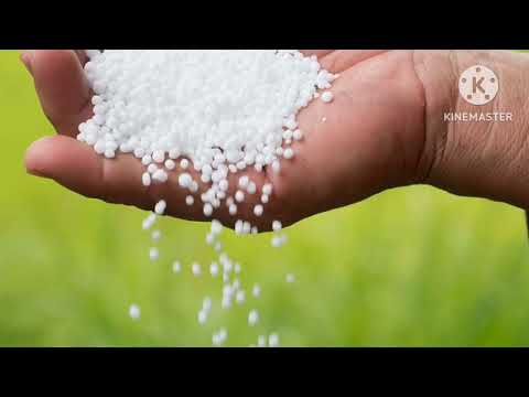 تحذير للمزارعين مخاطر استخدام اليوريا المفرط فى الزراعة زراعة الزراعة في مصر الأسمدة