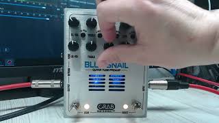 Blue Snail. Tube preamp based on Bogner Extasy (Les Paul)