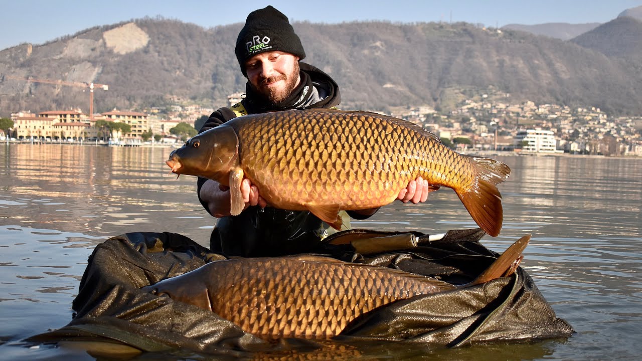 Iseo | Carpfishing Business