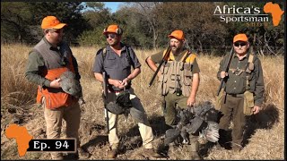 Guineafowl in Africa -  Africas Sportsman Show Ep 94