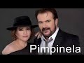 PIMPINELA 25 GRANDES ÉXITOS 2021 - Lo Mejor De Lo Mejor Aguante Pimpinela