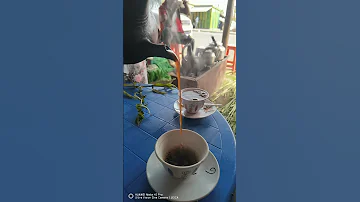 Ethiopia Coffee Etiyopya Kahvesi HaraGebeya 