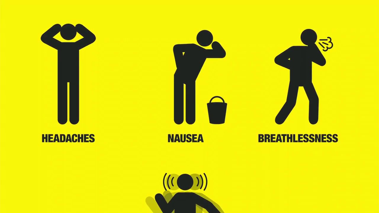 Health and Safety Induction Bulgarian YouTube