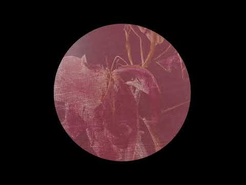 Serge Geyzel — Serge Geyzel - ... As Fallen Leaves