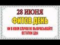 28 ИЮНЯ народный праздник ФИТОВ ДЕНЬ. Что нельзя делать. Народные традиции и приметы и суеверия