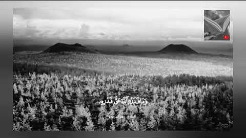 تلاوة خاشعة وآيات مباركة من سورة الزمر📚|القارئ عمر الدريويز|حالات واتس اب إسلامية💞