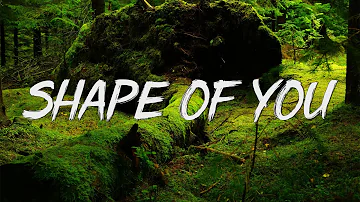 Ed Sheeran - Shape Of You (Lyrics) - I’m In Love In The Shape Of You