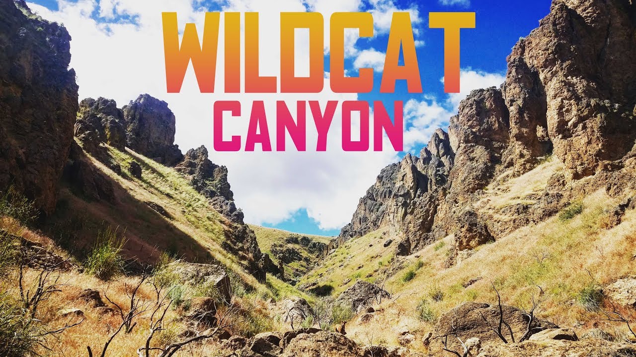 Wildcat Canyon Hiking + Overlanding + Adventure Nowhere Pacific