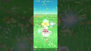 커피 잔 빨강 피크민 / Red Coffee Cup Pikmin  #pikminbloom