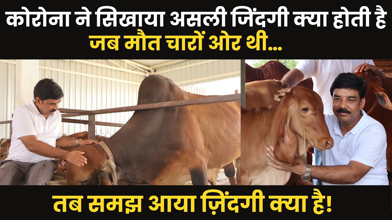 Корова Дези изменила мою жизнь || Запустили ферму с Нанди!