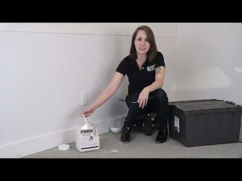 STEP #4: DIATOMACEOUS EARTH | Get Rid of Bed Bugs