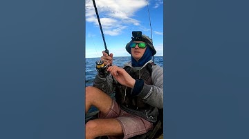 #Snapper love this squid vibe lure #squidtrex