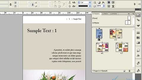 Adobe Indesign Tutorial in Tamil | Insert Pages | Covai Babu