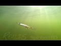 DUO`s Lures in Motion #5 - Realis Spinbait 80