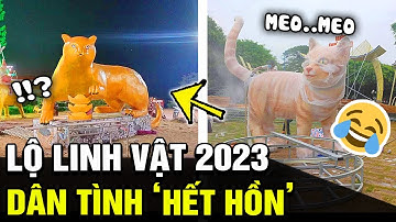LINH VẬT 2023 dần lộ diện tại các tỉnh thành, xem xong giật mình "GIỐNG MỖI CÁI TÊN" | TB Trends