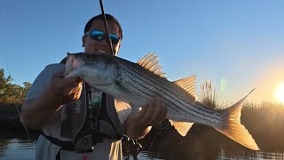 Thinking About the Striper Bite | CA Delta Evening Fishing